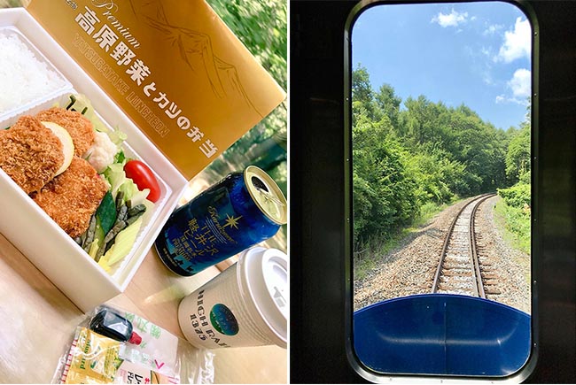 丸政の「高原野菜とカツの弁当」先頭車両の窓からの写真