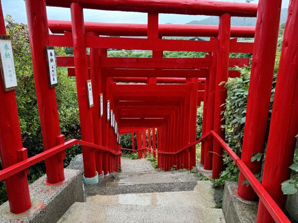 赤い鳥居が緑に映える元乃隅神社へ