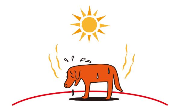 暑い季節は要注意！犬の熱中症の症状