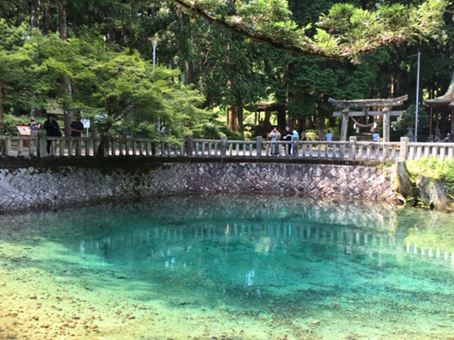 「別府弁天池」