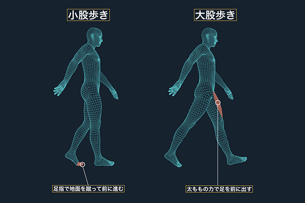足の健康のためには小股歩きがおすすめ