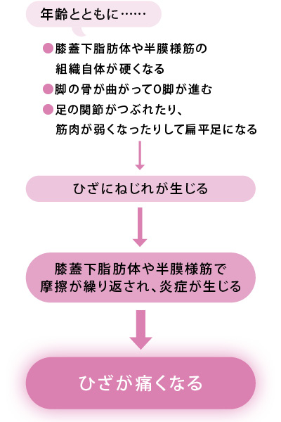 O脚と偏平足がひざのねじれを招き、痛みを引き起こす