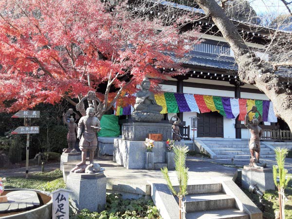 鎌倉 長谷寺とはどんなお寺でしょうか？