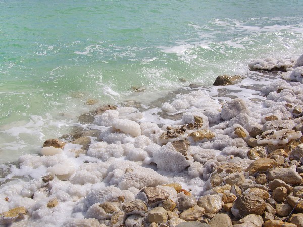 海水にはどのくらいの塩が入っているの ハルメクweb