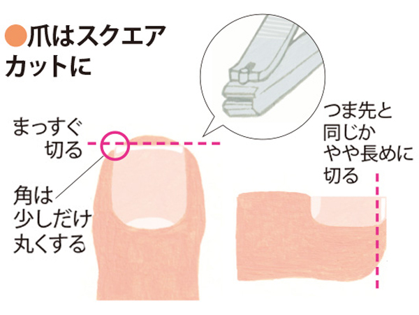 お手入れ2：爪はスクエアカットに