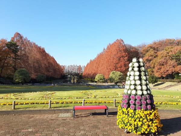 フランス式庭園とメタセコイアの神奈川県立相模原公園