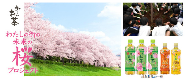 「伊藤園 お～いお茶 わたしの街の未来の桜プロジェクト」とは
