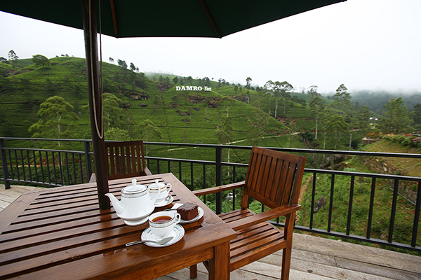 スリランカ紅茶の産地
