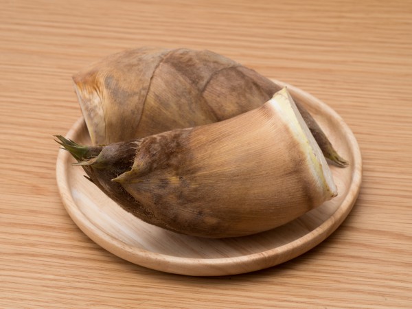 タケノコはどれくらいで竹になるの？