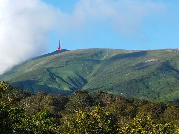 初級レベルの楽勝登山コース