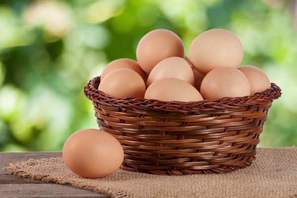 いいこと尽くしの卵のタンパク質