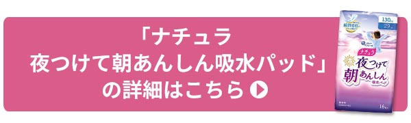 夜～朝専用のパッドタイプ 「夜つけて朝あんしん」のナチュラ