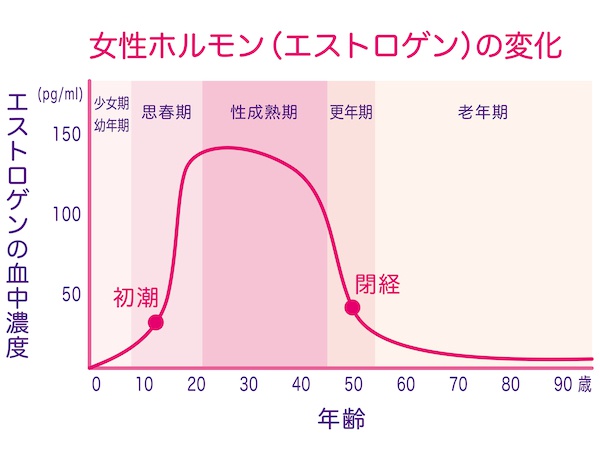 女性ホルモン（エストロゲン）の変化