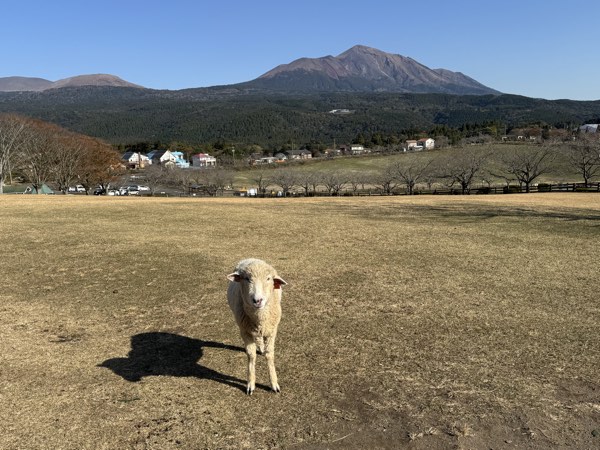 広大な牧場で動物たちと触れ合い、ジンギスカンを味わう