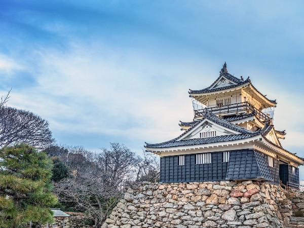 日本にはお城っていくつあるの？