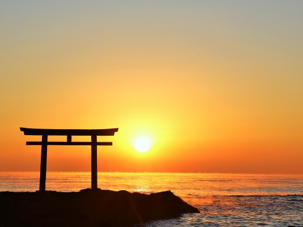 延髄はどこにありますか?