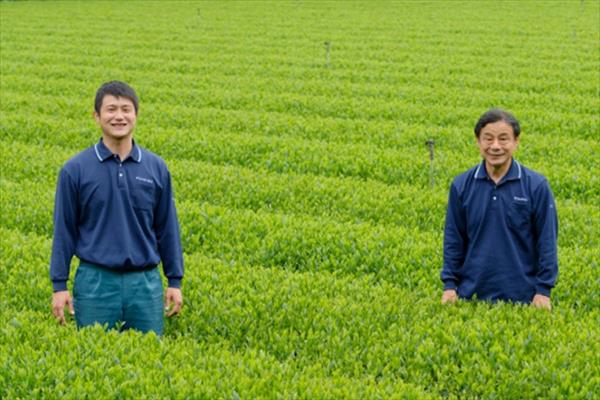 鹿児島県・大隅地区で続く茶農家育成の試み