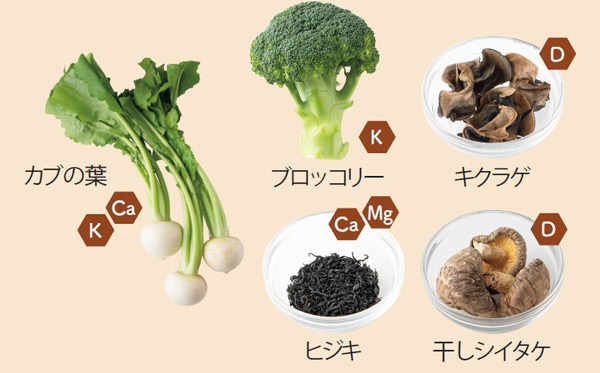 6-05_野菜・キノコ・海藻類