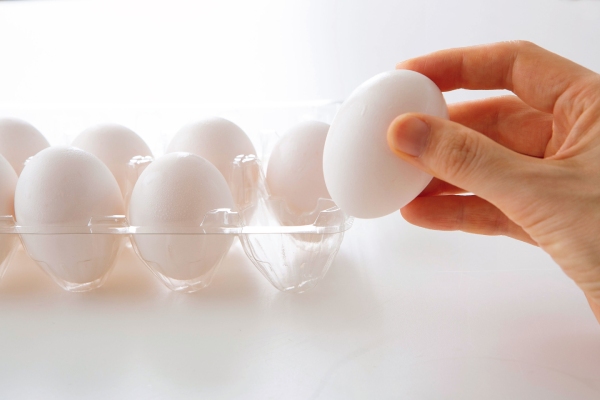 卵の保存方法