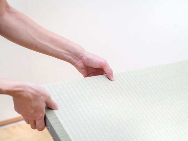 畳のカビ取り方法