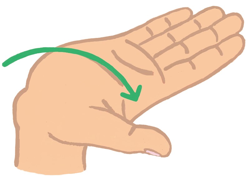 4．親指を外側に開き、手のひらを上に向けたまま、手首を親指側にグーッとひねる。