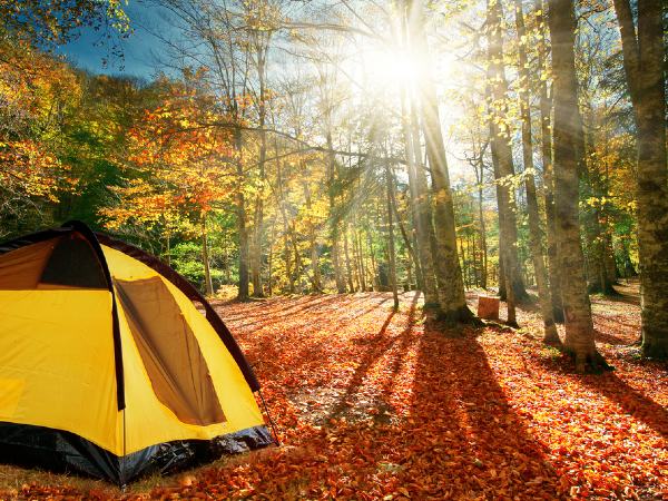 秋キャンプの魅力は？