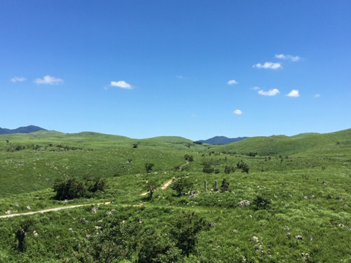 「秋芳洞」がある「秋吉台国定公園」