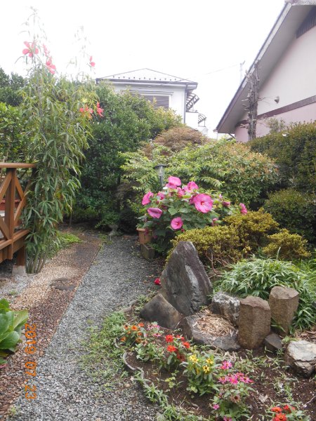 日本庭園風な庭