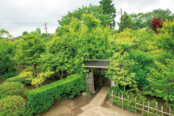 和風庭園へ誘う庭門も、禎敏さんの手作り。桜やモミジなど春は新緑に包まれます