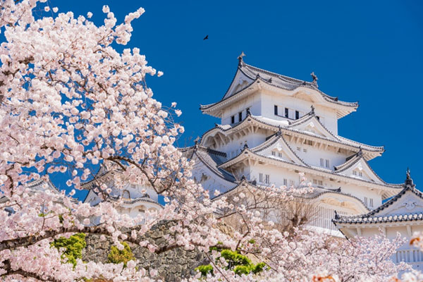 日本全国おすすめしたい桜スポットランキング