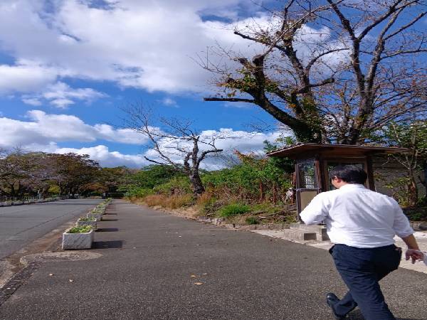 燃えるような赤、黄色、紅葉はいいものです