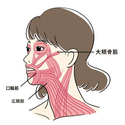 不幸オーラの源 への字口 を引き上げる たるみ対策 ハルメク美と健康