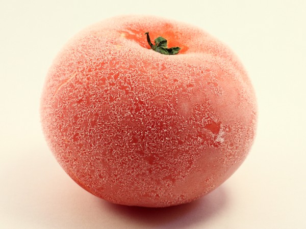 トマトを冷凍するメリット