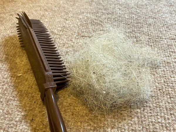 犬や猫などペットの抜け毛の掃除方法