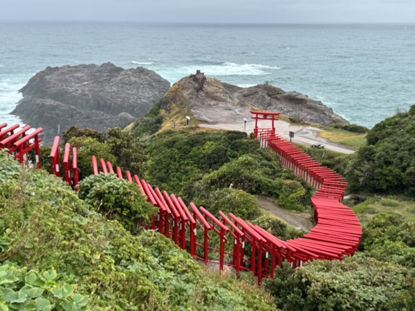 赤い鳥居が緑に映える元乃隅神社へ