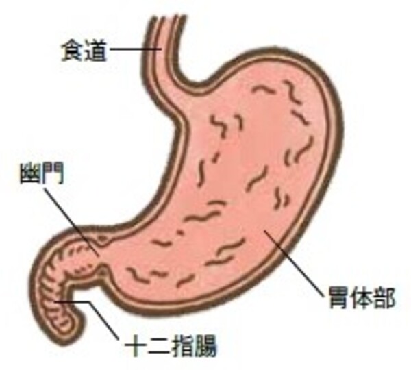 大腸がん　胃がん　検査